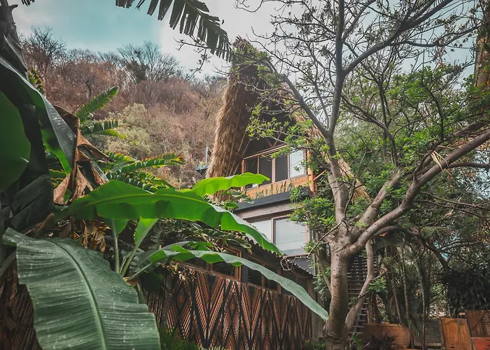 Lush Atitlan