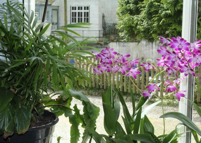 Penryn House Hotel