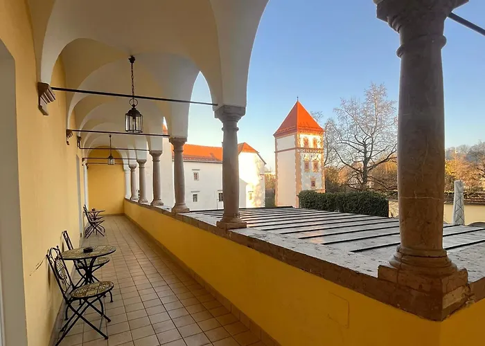 Dormero Paho Wels