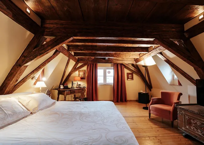 Hotel & Spa Le Bouclier D'Or