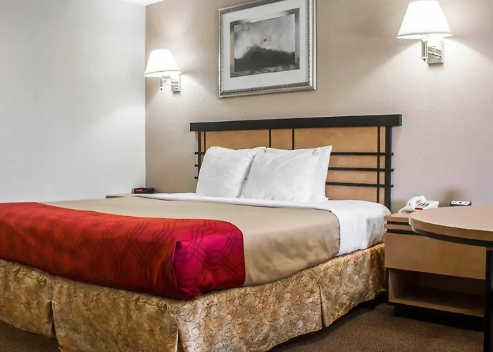 Econo Lodge Inn&Suites Colonie Center Mall