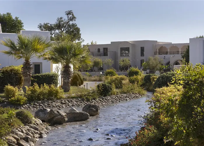 Curio Collection By Hilton Rhodes. Greece