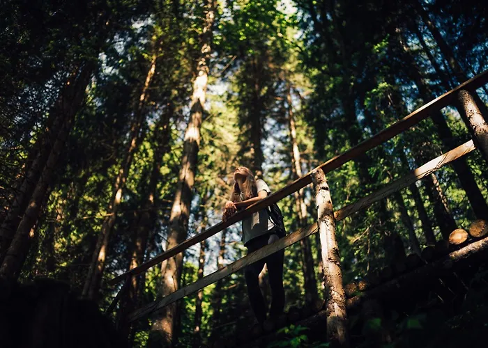 Torghele'S Wald & Fluh