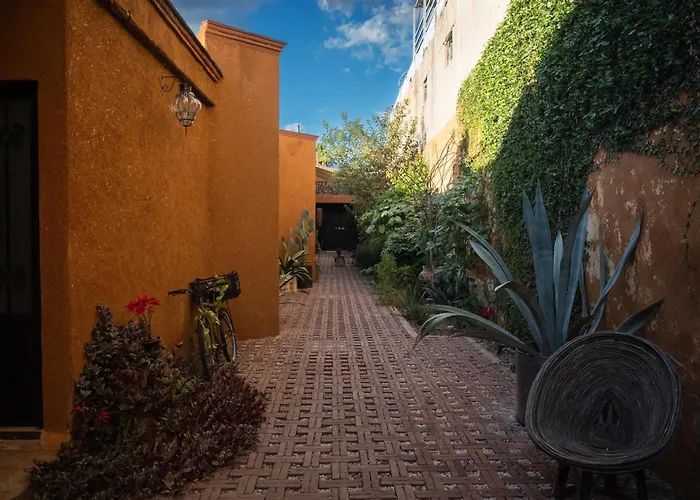 Niyana Oaxaca