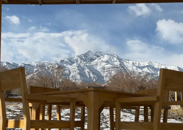 The Postcard In The Himalayan Willows, Stok, Leh