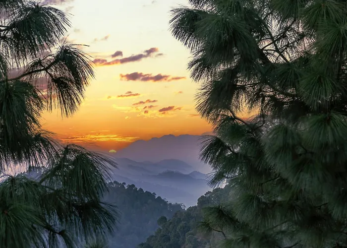 Snowfall View Home Kasauli Operated By Splendid Hotels