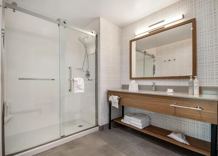 Hampton Inn & Suites By Hilton Irving Dfw Airport North