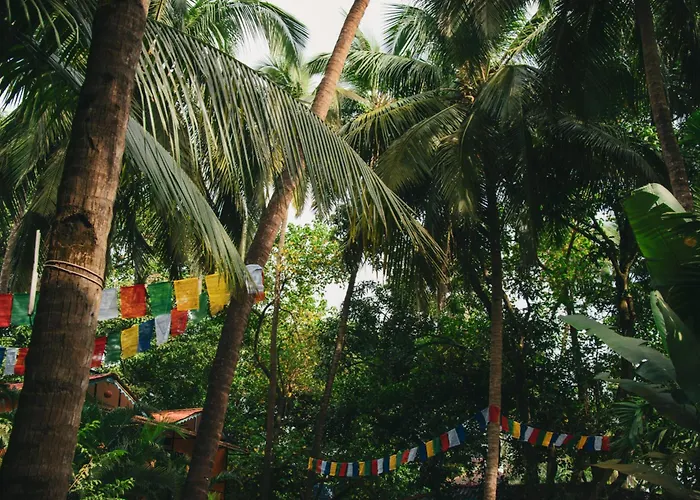 Resort Zulley
