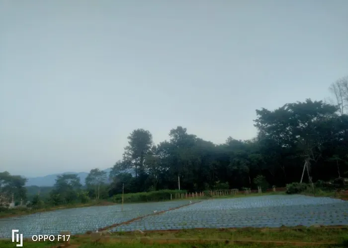 Haneeshya Resort-Strawberry Farm,Tents Campfire