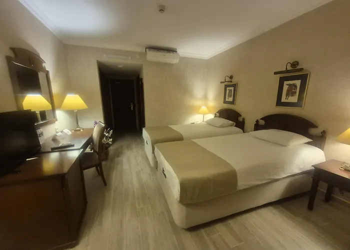 Bueyuek Suemela Otel