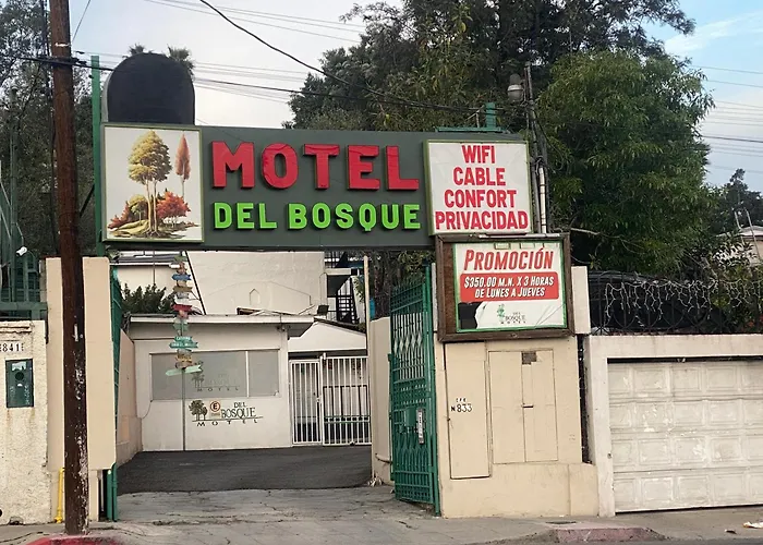 Hotel Del Bosque