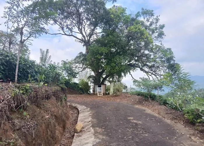The Orchard Villa