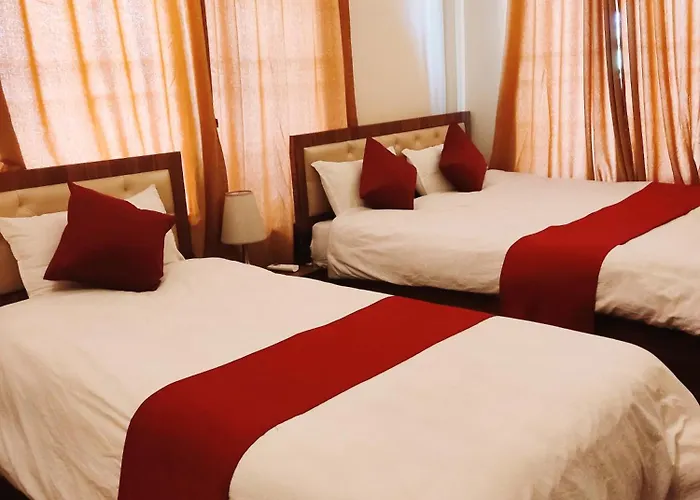 Hotel Lisne Jungle Land