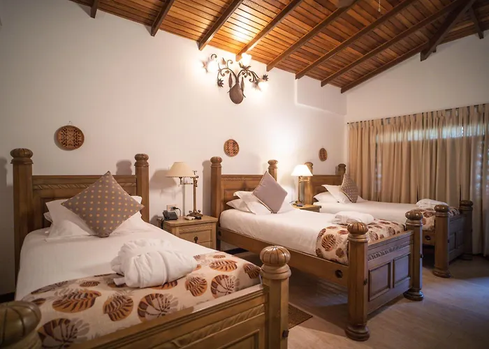 Ara Merú Lodge