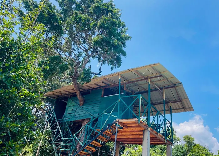 Green Tree House Yala