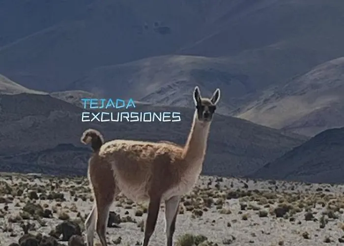 Hotel Y Excursiones Tejada