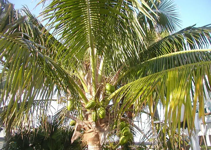 Tropical Beach Studio Getaway B
