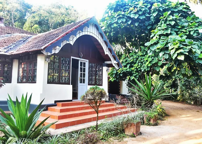 Colonial Canopy