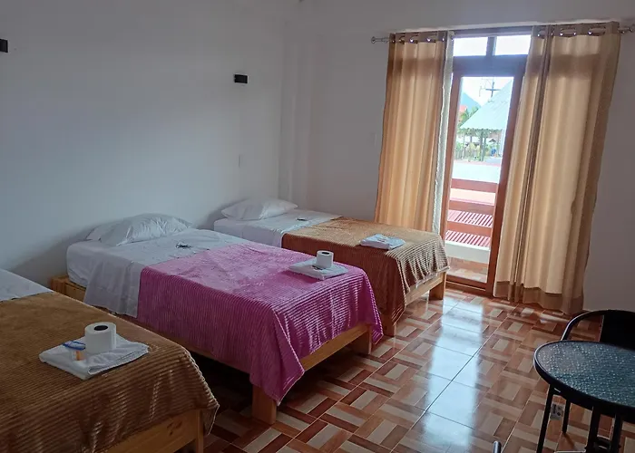 Oso Del Bosque Hoteles