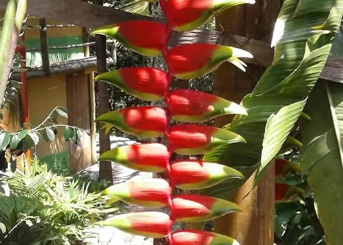 Finca Hotel Altamira Jerico