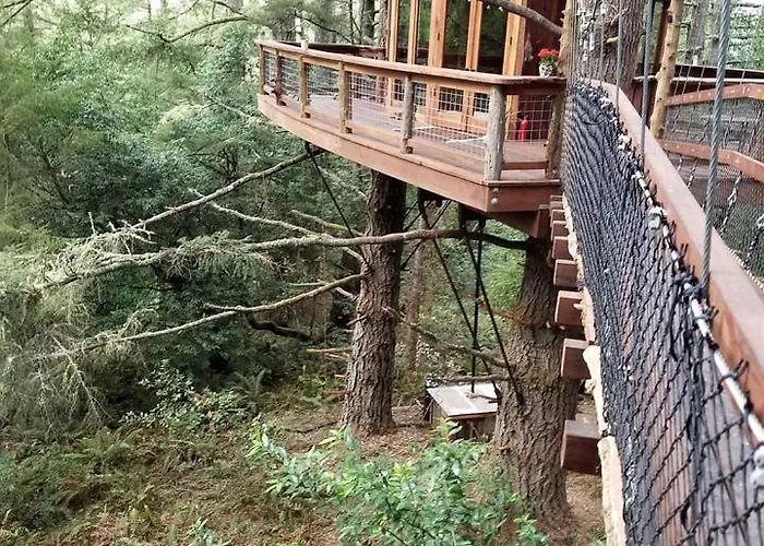 Secluded Treehouse Hideaway With Firepit And Forest Views In Bodega Bay, California