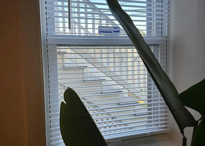 Convenient 1 Bedroom Apartment With Private Basement Entrance - 5 Min To Green Line T Station & Newton Wellesley Hospital At Newton Boston