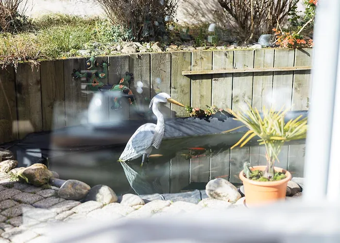 Hotel De France Contact-Hotel