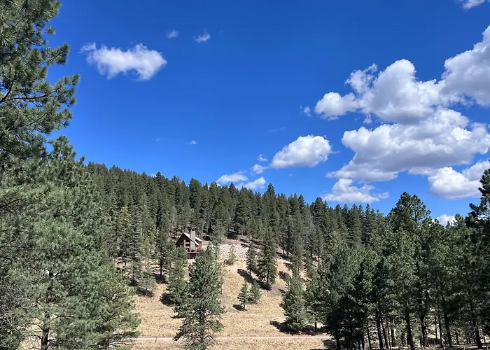 Quiet Cabin In The Sacramentos