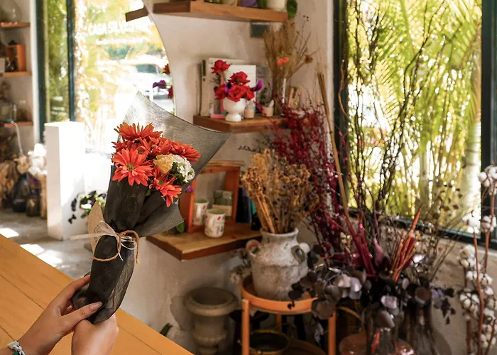 Mezcal Boutique Hotel