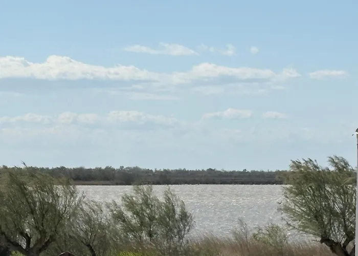 Hôtel Le Neptune en Camargue