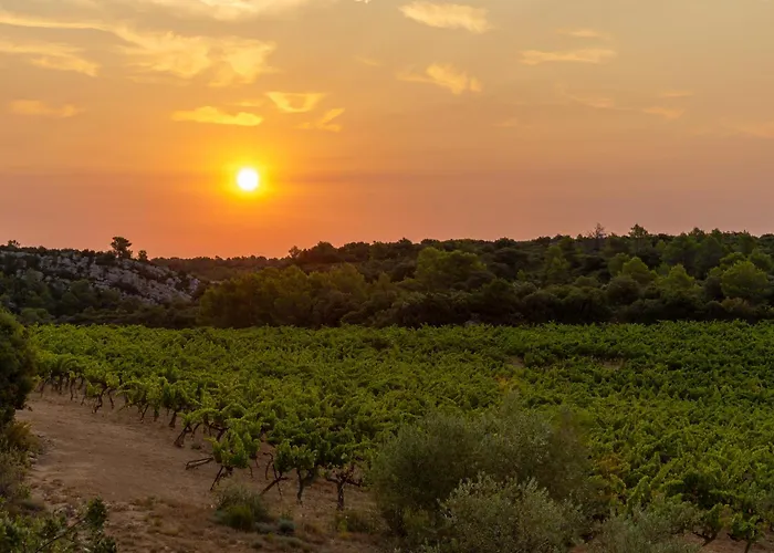 Hôtel de Castigno - Wine Hotel&Resort