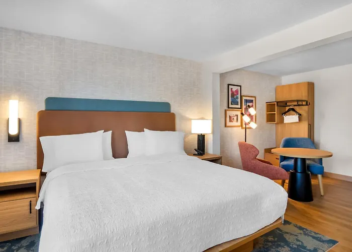 Hampton Inn By Hilton Addison Dallas