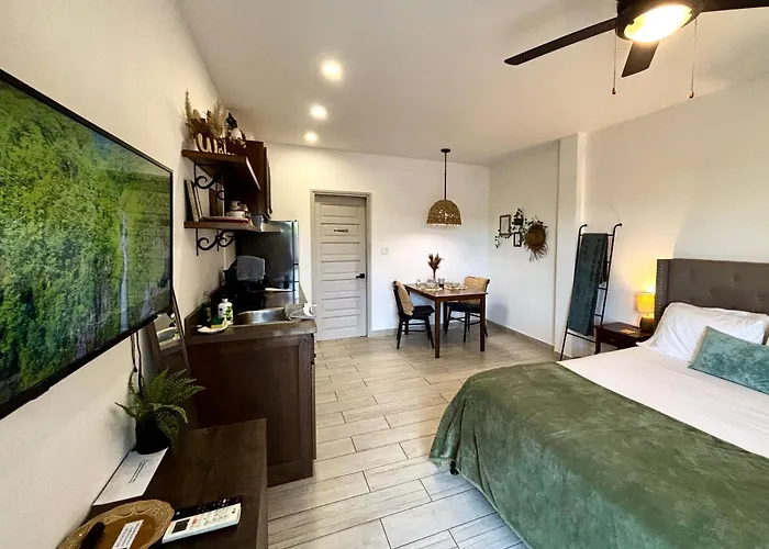 Stylish Apartments - Free Bikes, Nice Area & Cozy Patio, 10 Minutes To Airport