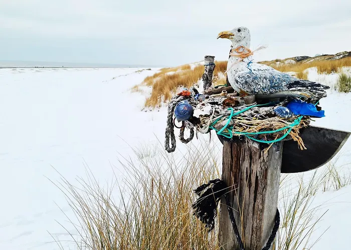 Strandburg Juist Apartment 208 - Schwimmbad und Sauna kostenfrei