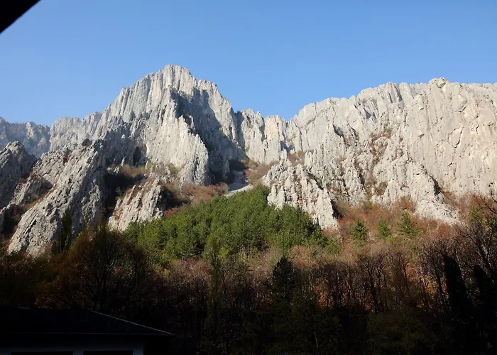 Hotel Complex Chayka