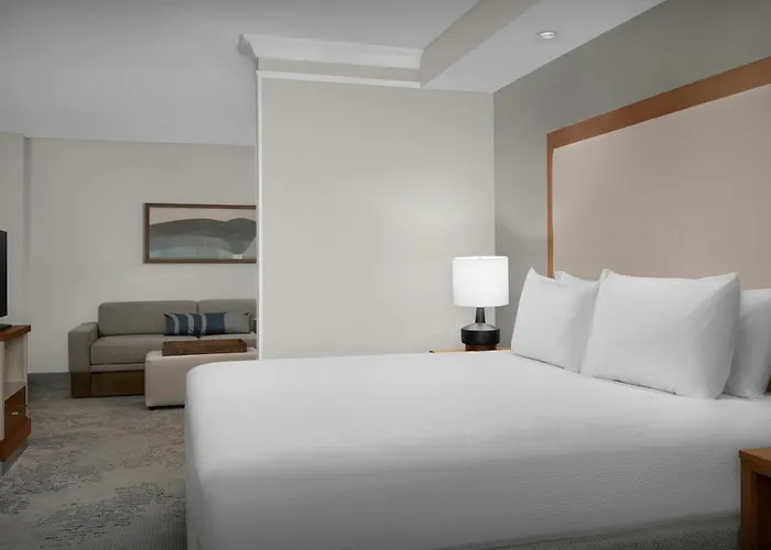 Springhill Suites By Marriott Lynchburg Airport/University Area