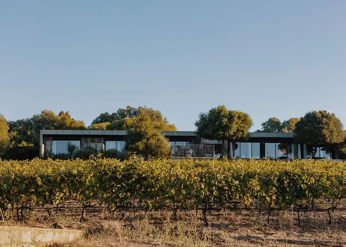 Domaine De Peretti Della Rocca