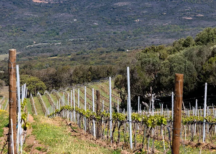 Domaine De Peretti Della Rocca