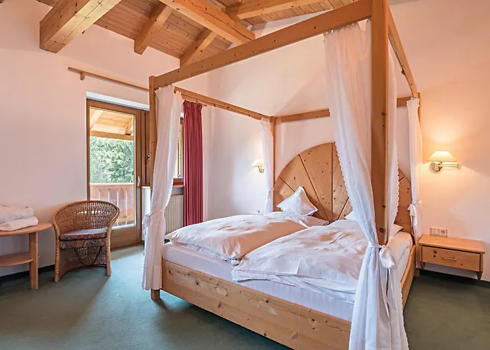 Sabina Dolomites Zirbel