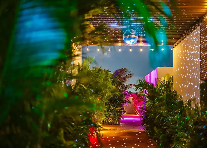 Privada Stays - Lofts With Private Pool And Oasis, Near Eagle Beach