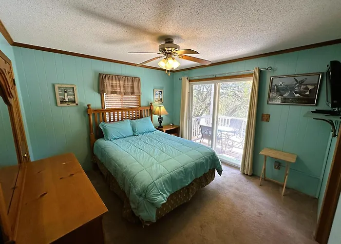 D127A- Sand Dollar