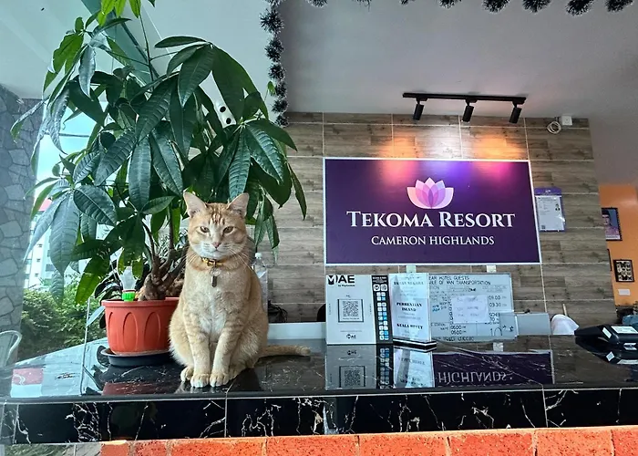 Tekoma Hotel & Hostel Cameron Highlands - Free Shuttle Service