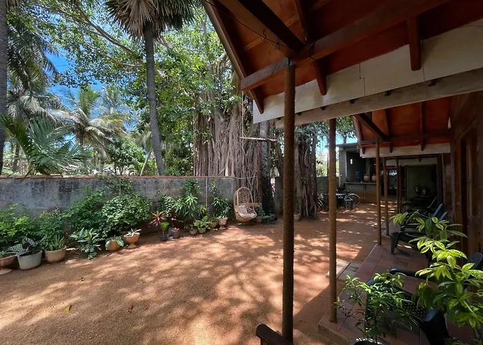 Cool Banyan Cabana