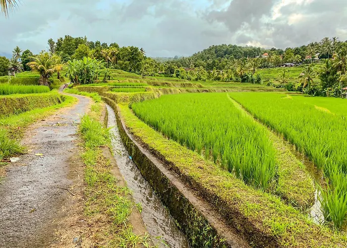 Wimala Farm House
