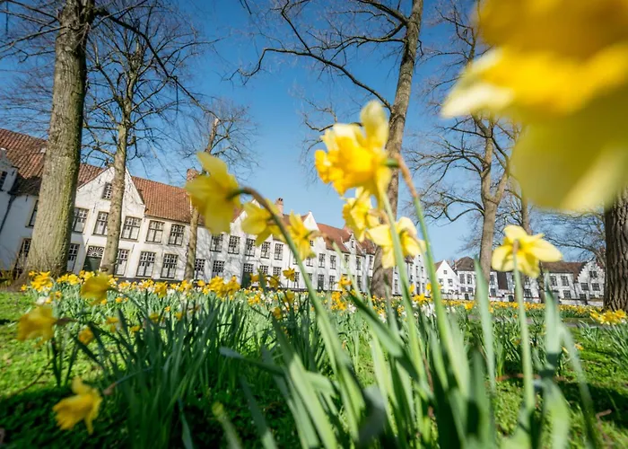 Hotel Le Bois De Bruges