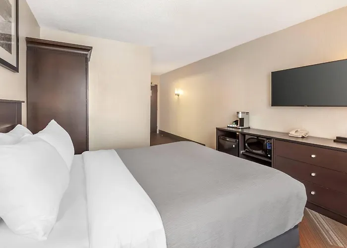 Quality Hotel