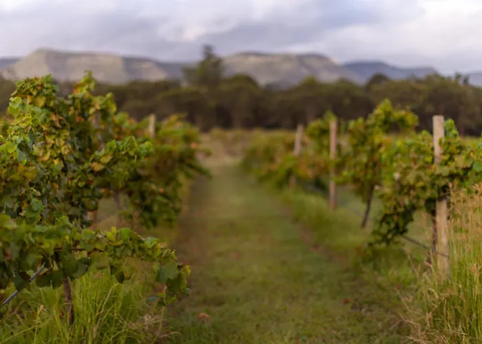 Harrigan'S Hunter Valley