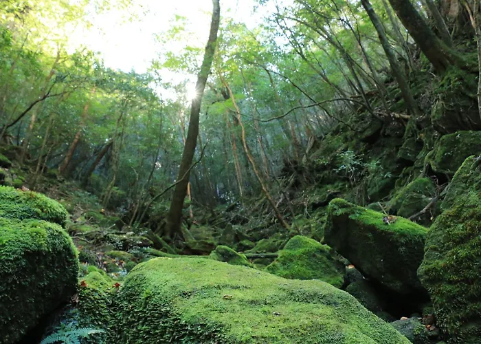 民宿たけすぎ
