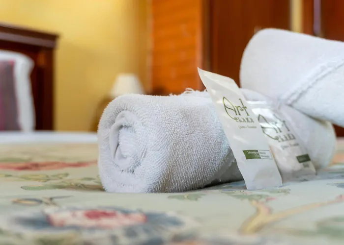 Art Plaza Boutique Hotel