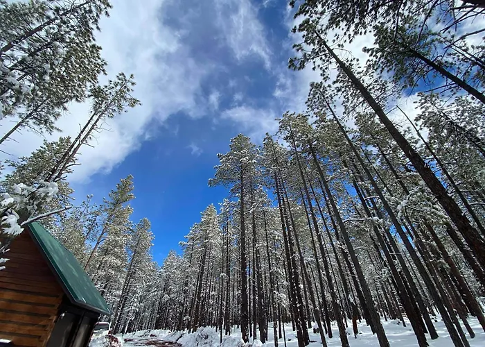 Grand Canyon Cottage At Historic Wrigley Ranch With Horseback Riding & Hiking
